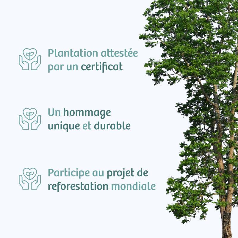 Planter un arbre en hommage à M. Jean DUPONT